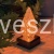 swieca led szyszka.jpg
