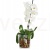 oslonka szklana storczykówka 14 cm fi13 cm.jpg