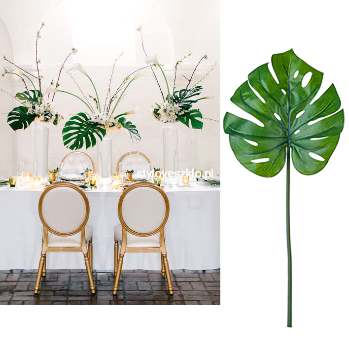 monstera8.jpg