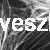 pajęczyna biała.jpg