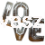 love silver.jpg