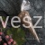 grysik złoty.jpg