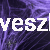 pajęczyna fioletowa.jpg