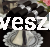 serwetki papierowe czarne 40.jpg