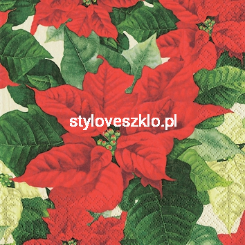 serwetki papierowe gwiazda betlejemska czerwona.jpg