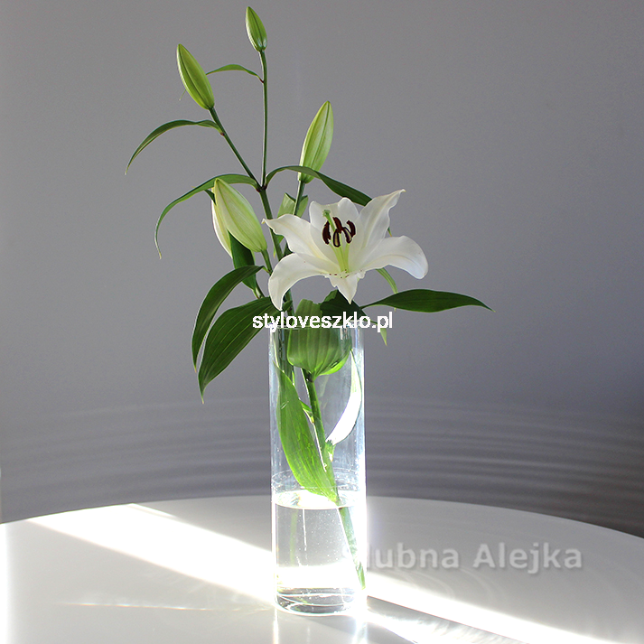 wazon szklany tuba 30cm.jpg