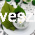 serwetki papierowe zielone.jpg