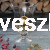 Kamienie Dekoracyjne Złote - slubna-alejka.jpg