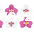 orchidee.jpg
