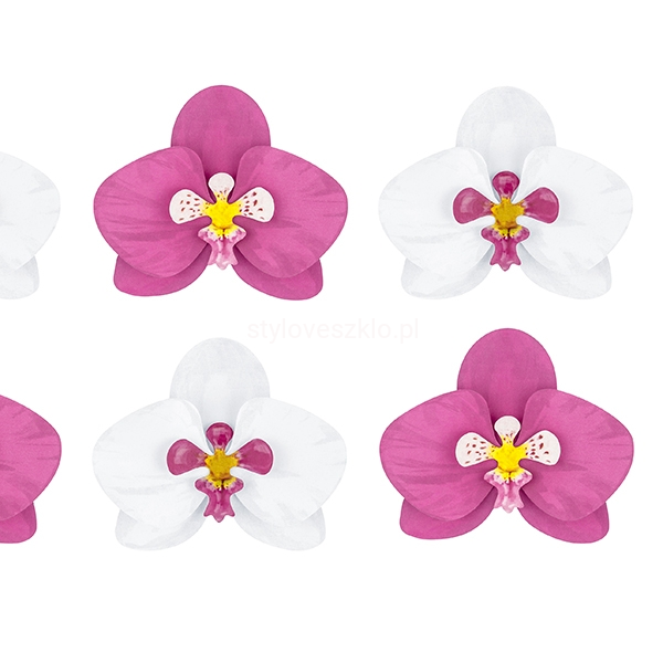 orchidee.jpg