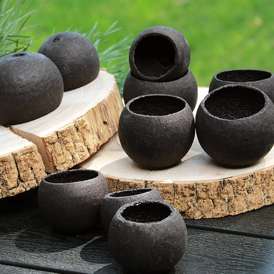 Susz Egzotyczny Bell Cup Czarny 10szt.